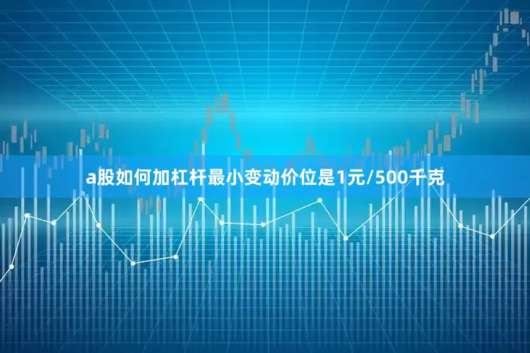 a股如何加杠杆最小变动价位是1元/500千克